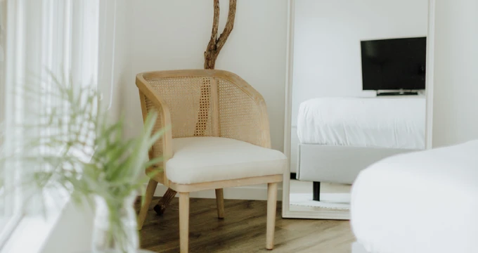 A room with a chair, bed, and plant in front of a window.