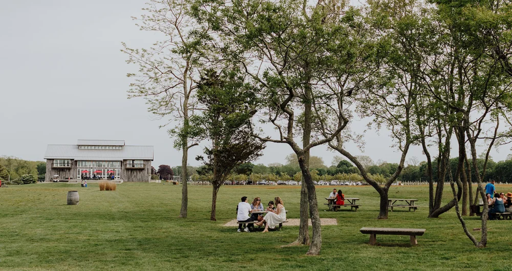 People sitting at the park near the Menhaden